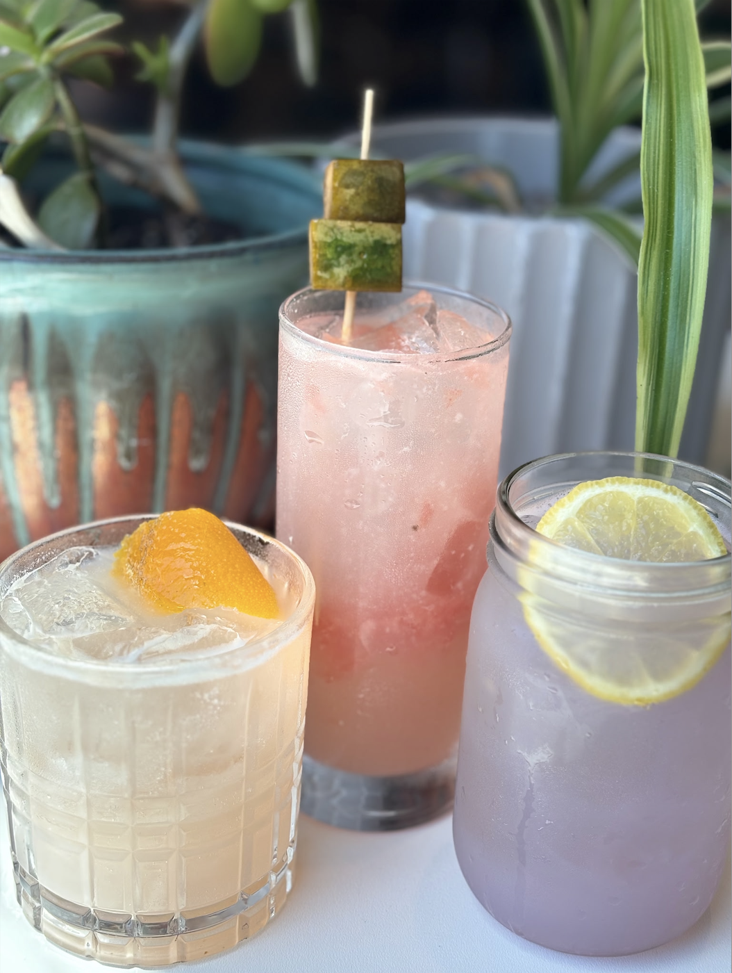 Drink at Animal Boy
